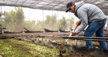 El interesante método de fertilización de esta granja de Amway