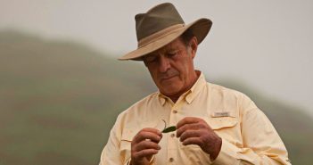 La HISTORIA y el LEGADO de Gary Young