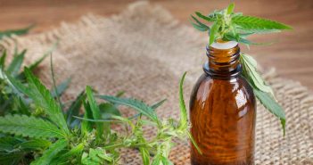 Otra compañía de multinivel reveló que planea experimentar con productos de CBD