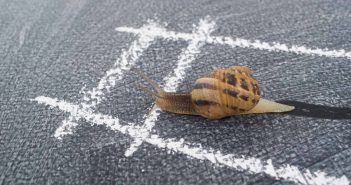 4 razones por las que ir despacio te hará MÁS EXITOSO