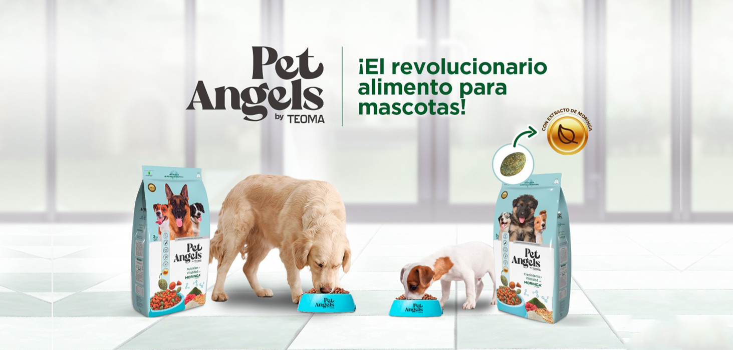 “Pet Angels” el innovador producto de TEOMA que revoluciona el mercado